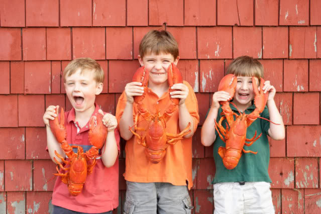 Lobster-Kids Lobster Shipping